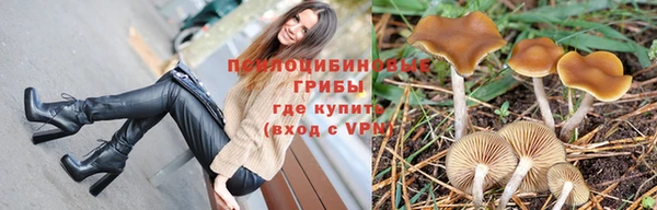 спайс Алзамай