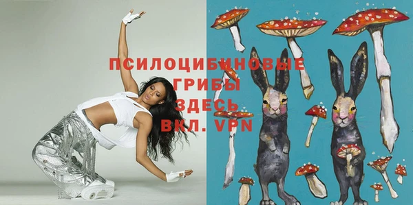 спайс Алзамай